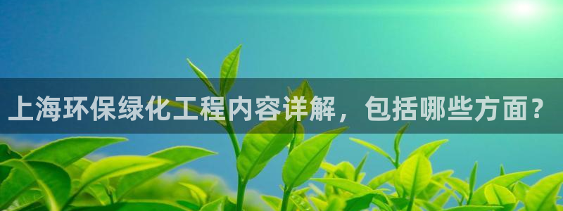 亿万集团有限公司：上海环保绿化工程内容详解，包括哪些方面？